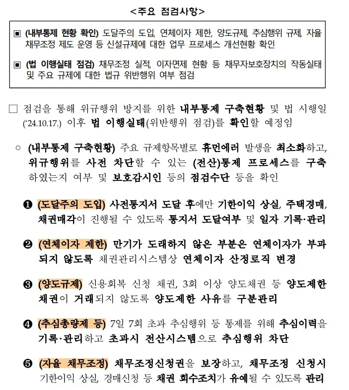 금감원 특별 현장점검 주요 점검사항 자료 — 내부통제 구축현황과 법 이행실태를 도달주의 도입, 연체이자 제한, 양도규제, 추심총량제, 자율 채무조정 5개 항목으로 세분화